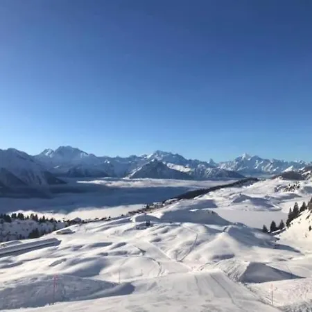 Chalet Alpenstern 贝特默阿尔卑