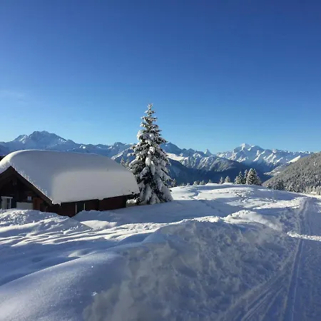Chalet Alpenstern